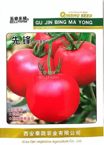 5 Seeds Pinkish Red Tomato Big Apple-sized Fruit Seeds