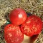 5 Seeds Pinkish Red Tomato Big Apple-sized Fruit Seeds