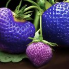 100 seeds Mixed 4 Types of Blue Purple White Red Strawberry