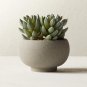 6 Seeds Artificial Succulent Plants Potted