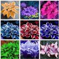 150 Seeds Beautiful Hosta Bonsai, Perennials Lily Flower Shade Hosta Flower Grass Bonsai