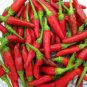 1000 Seeds Birdseye Chili Pepper