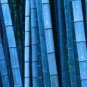 100 Seeds Blue Bamboo