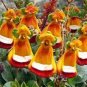 200 Seeds Calceolaria tomentosa Yellow Slipper Flower Lady's Purse