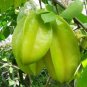 50 Seeds Carambola 2 Types Available
