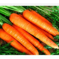 3200 Seeds Carrot Red Giant Vegetable Planting Organic Heirloom
