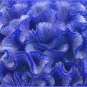 200 Seeds Celosia Cristata Blue Color