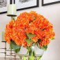 20 Seeds Champagne Hydrangea Ice Cream Light Orange Flowers