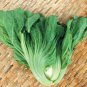 4000 Seeds Chinese mustard