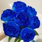 10 Seeds Chinese Rare and Precious Species of Blue Peony Flower Bonsai