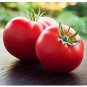 100 Seeds Delicious Tomato