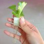 117 Seeds Foam Cubes for Starting Seeds Nursery Sponge