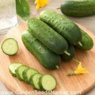 80 Seeds Fruit cucumber