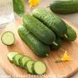 80 Seeds Fruit cucumber