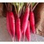 700 Seeds fruit Radish Red Radishes Vegetable