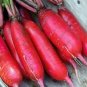 700 Seeds fruit Radish Red Radishes Vegetable