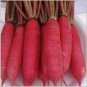 700 Seeds fruit Radish Red Radishes Vegetable