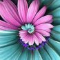 100 Seeds Gerbera Daisy Hybrid Apple Green Flowers with Purplish Black Centre