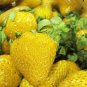 300 Seeds Giant Strawberry Yellow Color