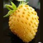 300 Seeds Giant Strawberry Yellow Color