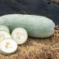 100 Seeds Gourd petha