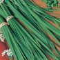 1500 Seeds Heirloom Onion Chives