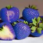 300 Seeds Light Blue Strawberry Hybrid Giant Juicy Potted Fruit