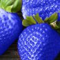300 Seeds Light Blue Strawberry Hybrid Giant Juicy Potted Fruit