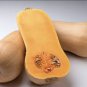 40 Seeds  Long pumpkin winter curved-necked pumpkin