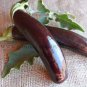 700 Seeds Long Purple Eggplant