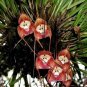 5 Seeds Mixed Colourful Monkey Face Orchid Plants Red Cream Potted Peru Flower Plants