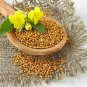 2000 Seeds mustard Seeds White bar food Garden