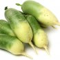 800 Seeds Organic green radish fruit radishes untreated garden