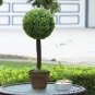 1 Seeds PHFU Plastic Garden Grass Ball Topiary Tree Pot Dried Plant