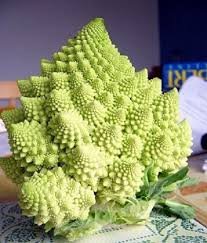 100 Seeds Roman Broccoli Seeds Vegetables