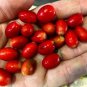 30 Seeds Synsepalum Dulcificum Fruit Red Fruits