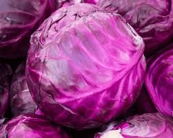 250 Seeds The more purple purple cabbage
