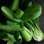 2000 Seeds Vegetable Chinese cabbage, Suzhou green