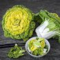 4000 Seeds Yellow Heart pak choi