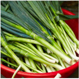 5 Seeds Asian Bunching Onion
