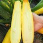 10 Seeds Banana Zucchini 'Yellow Banana' series featuring vibrant yellow gourds