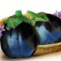 200 Seeds Black Beauty Eggplant
