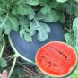 25 Seeds Black Landmine' Series Watermelon