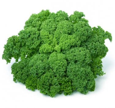 100 Seeds 'Blue Ridge' Kale