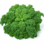 100 Seeds 'Blue Ridge' Kale