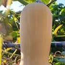 10 Seeds Butterbush Squash