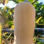 10 Seeds Butterbush Squash