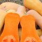 10 Seeds Butterbush Squash