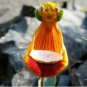 30 Seeds Calceolaria Uniflora Flower