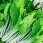 4000 Seeds Choi Seeds Green Stem Chinese Cabbage Bok choy Four Season vegetable